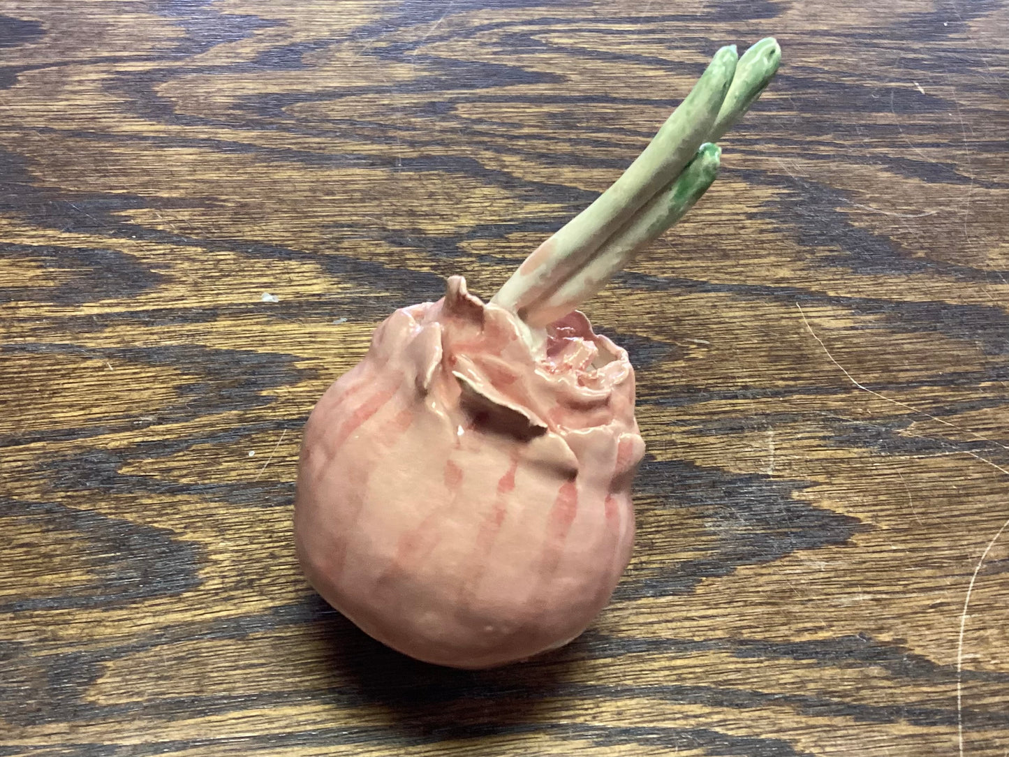 Ceramic Onion Bulb