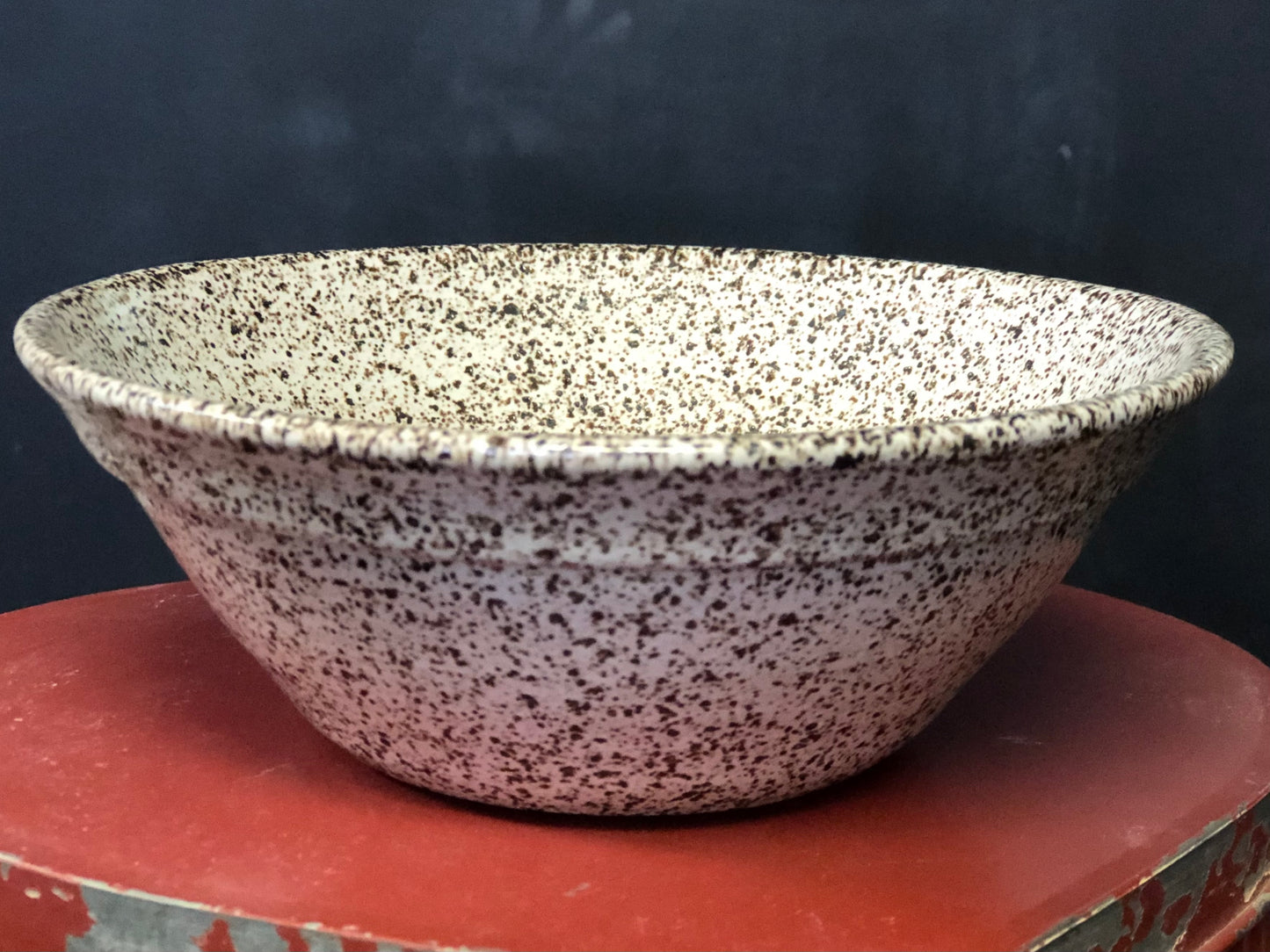 White Speckled Bowl