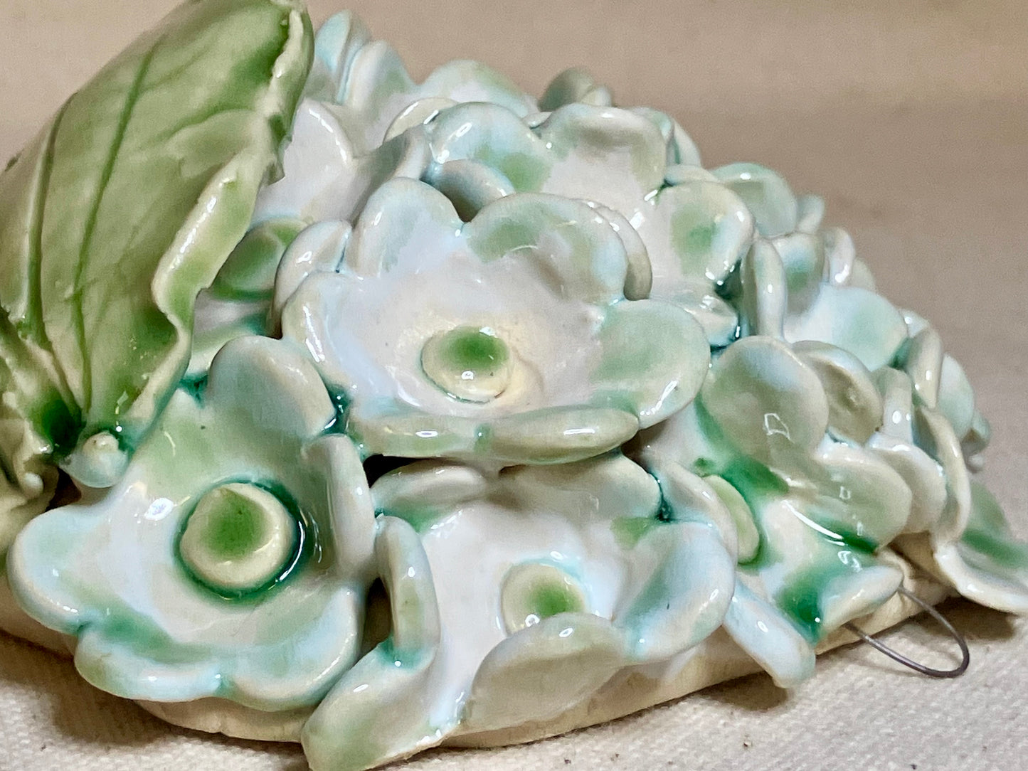 Green Hydrangea