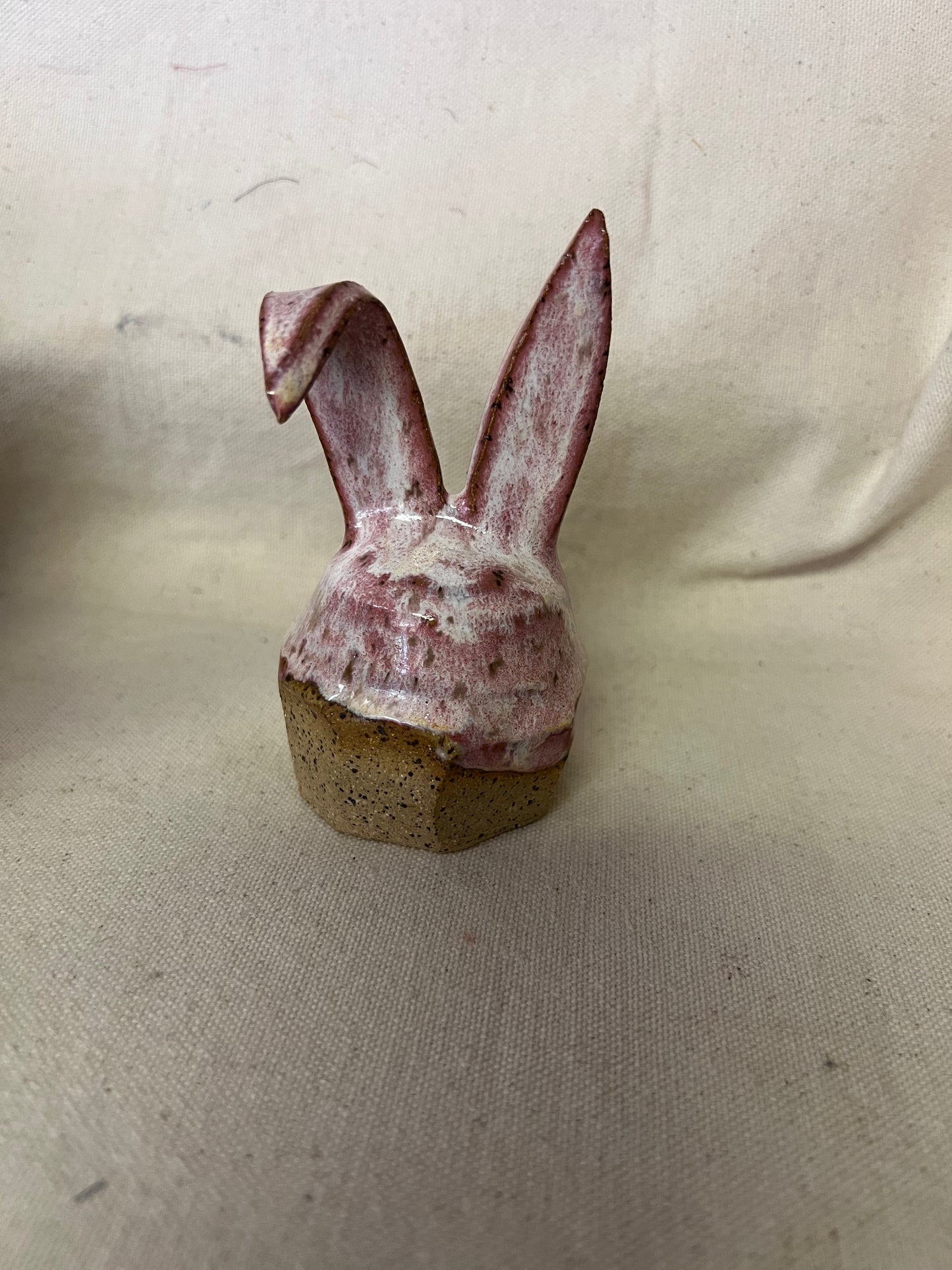 Bunnies