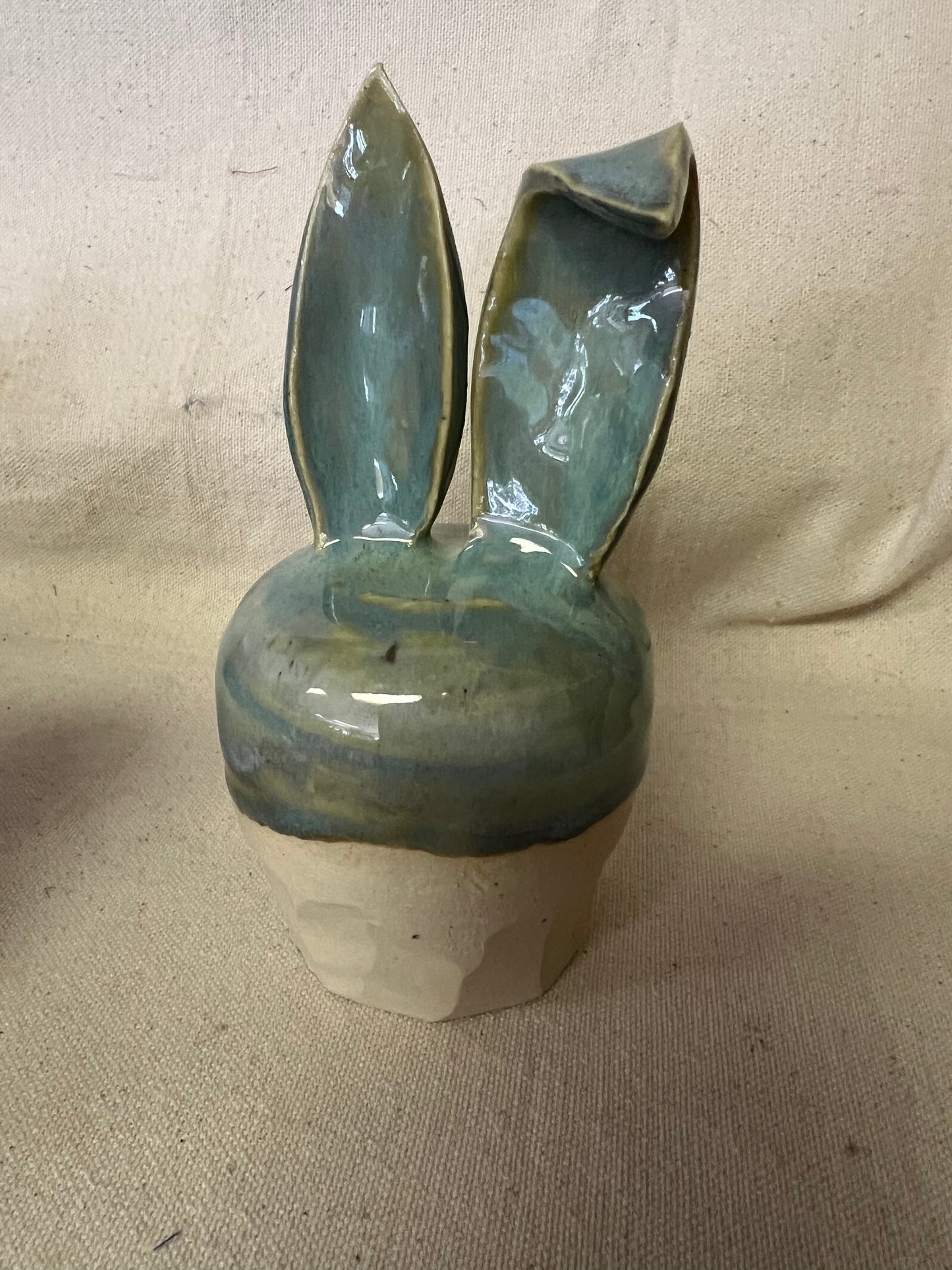 Bunnies