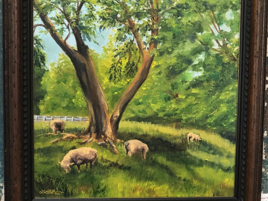 Sheep in St. Francis Street Pasture