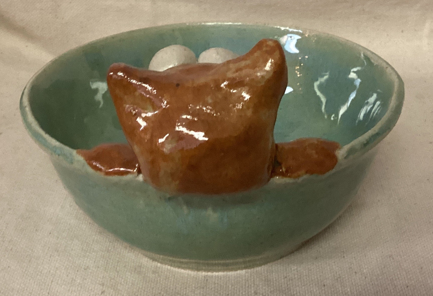 Orange cat on a green bowl