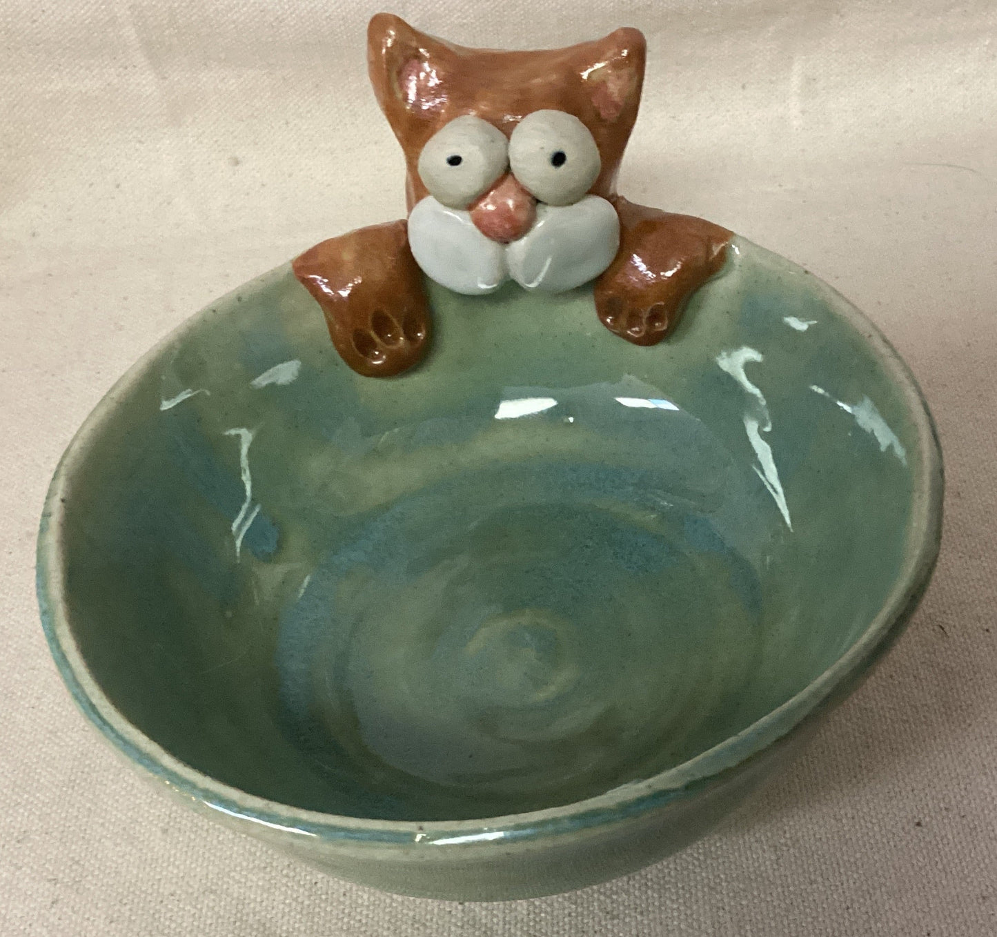Orange cat on a green bowl